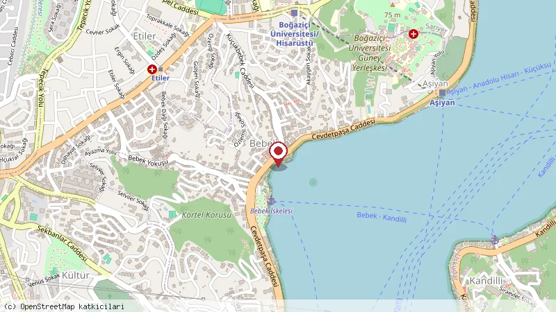 Selamlıque İstanbul Cafe konumunu gösteren harita